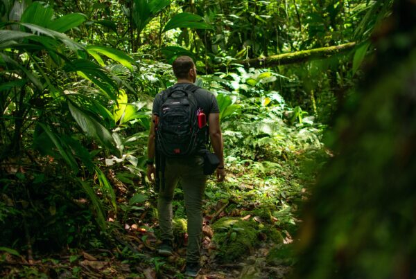 A educação ambiental através do turismo ecológico