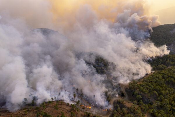 Queimadas e ecoturismo